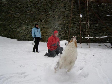 zricenina Stepanice (0)