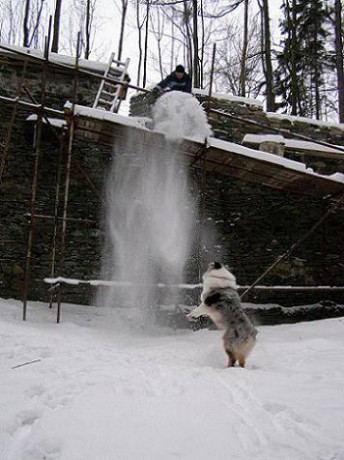 zricenina Stepanice (1)