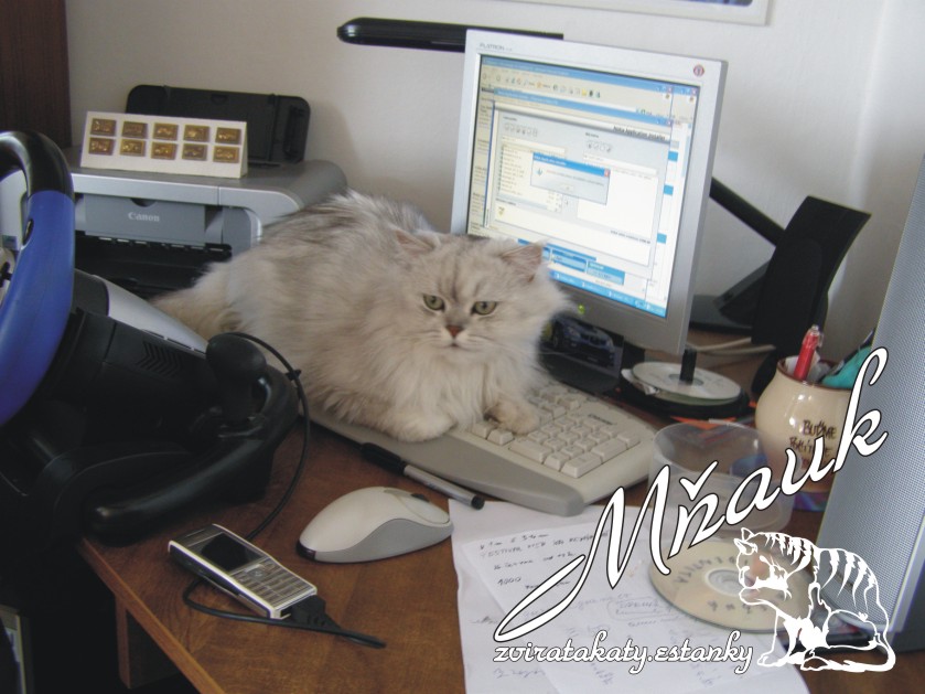 006 nejradši má počítač.jpg