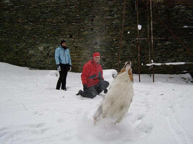 zricenina Stepanice (0)