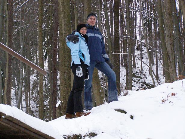 zricenina Stepanice (2)