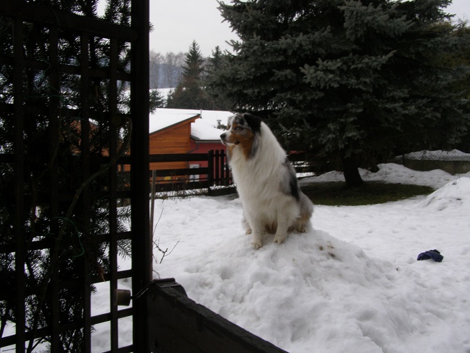 Dare to Dream 2011 (04)