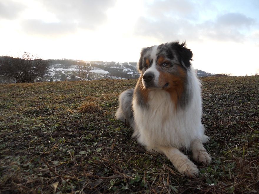 Dare to Dream 2011 (05)