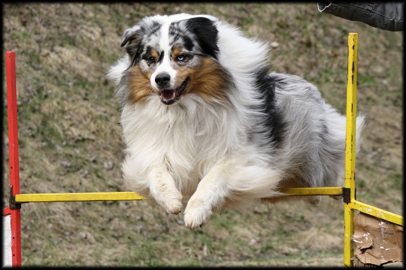 Dare to Dream 2011 (15)