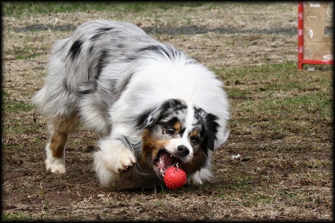 Dare to Dream 2011 (17)