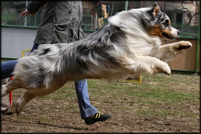 Dare to Dream 2011 (24)