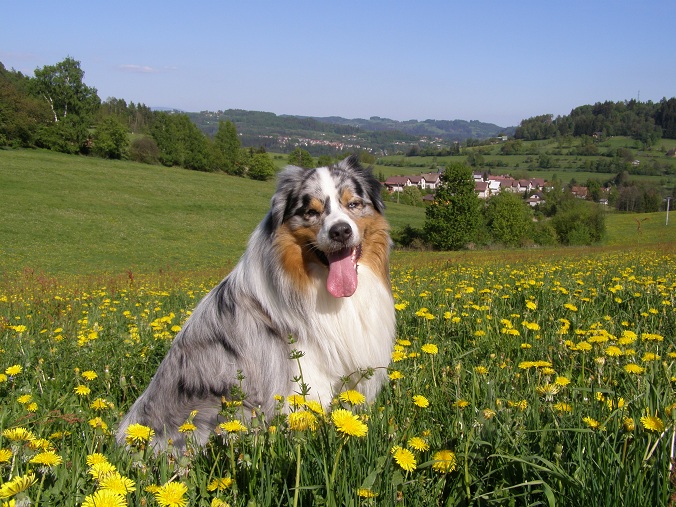 Dare to Dream 2011 (27)